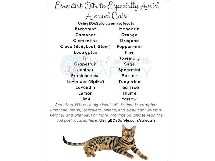 Essential Oils Cats